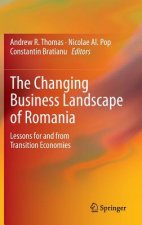 Changing Business Landscape of Romania