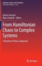 From Hamiltonian Chaos to Complex Systems