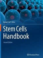 Stem Cells Handbook