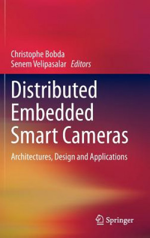 Distributed Embedded Smart Cameras