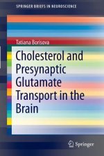 Cholesterol and Presynaptic Glutamate Transport in the Brain