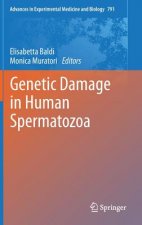 Genetic Damage in Human Spermatozoa