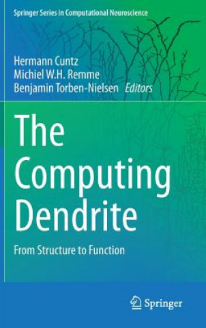 Computing Dendrite