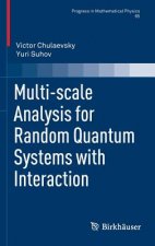 Multi-Scale Analysis for Random Quantum Systems with Interaction
