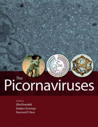 Picornaviruses