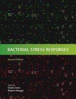 Bacterial Stress Responses