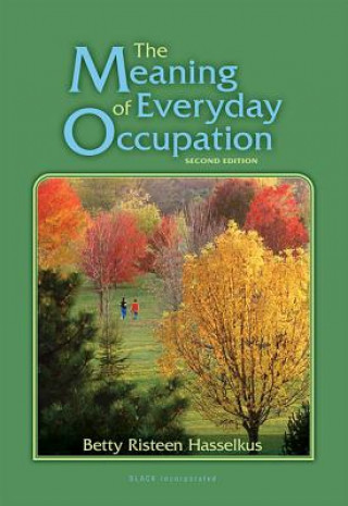 Meaning of Everyday Occupation