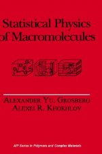 Statistical Physics of Macromolecules