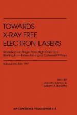 Towards X-Ray Free Electron Lasers Workshop on Single Pass, High Gain FELs Starting from Noise Aiming at Coherent X-Rays