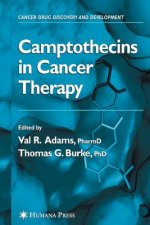 Camptothecins in Cancer Therapy