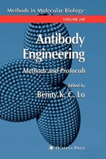 Antibody Engineering