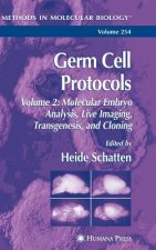 Germ Cell Protocols