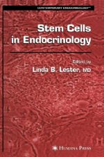 Stem Cells in Endocrinology