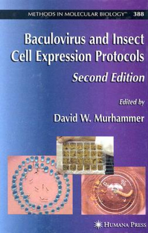 Baculovirus and Insect Cell Expression Protocols