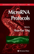 MicroRNA Protocols