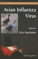 Avian Influenza Virus