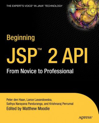 Beginning JSP 2