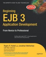 Beginning EJB 3 Application Development