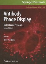 Antibody Phage Display