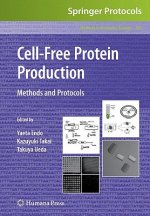 Cell-Free Protein Production