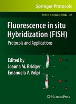 Fluorescence in situ Hybridization (FISH)