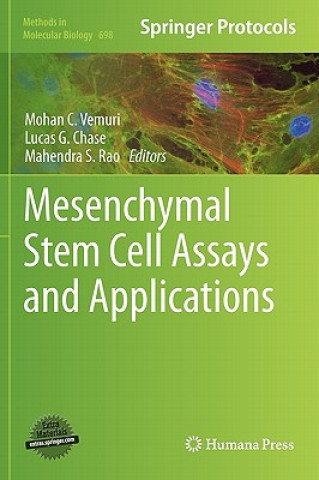 Mesenchymal Stem Cell Assays and Applications