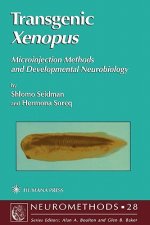 Transgenic Xenopus