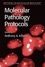 Molecular Pathology Protocols