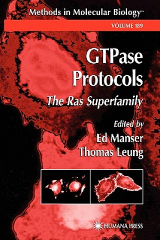 GTPase Protocols
