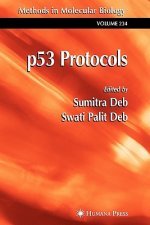 p53 Protocols