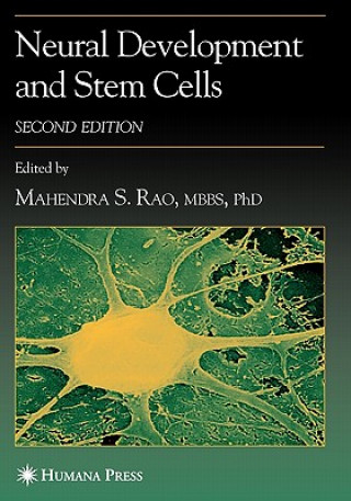 Neural Development and Stem Cells
