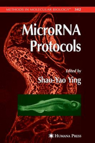 MicroRNA Protocols