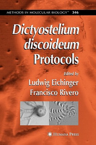 Dictyostelium discoideum Protocols