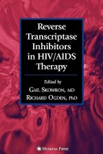 Reverse Transcriptase Inhibitors in HIV/AIDS Therapy