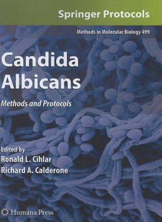 Candida Albicans