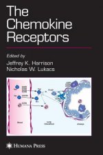 The Chemokine Receptors