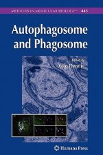 Autophagosome and Phagosome