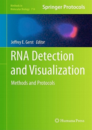 RNA Detection and Visualization