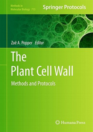Plant Cell Wall