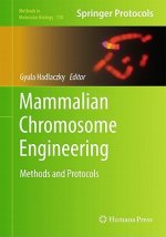 Mammalian Chromosome Engineering