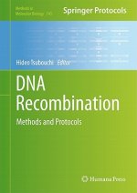 DNA Recombination