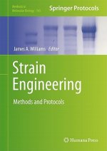 Strain Engineering