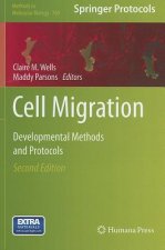 Cell Migration