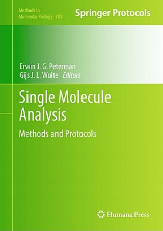 Single Molecule Analysis