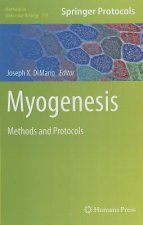 Myogenesis