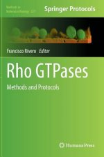 Rho GTPases