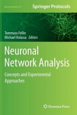 Neuronal Network Analysis