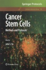 Cancer Stem Cells