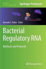 Bacterial Regulatory RNA