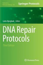 DNA Repair Protocols